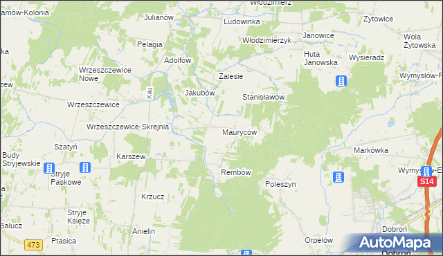 mapa Mauryców gmina Wodzierady, Mauryców gmina Wodzierady na mapie Targeo