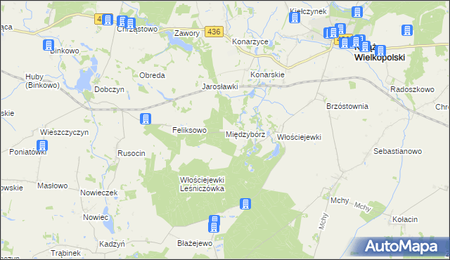 mapa Międzybórz gmina Książ Wielkopolski, Międzybórz gmina Książ Wielkopolski na mapie Targeo