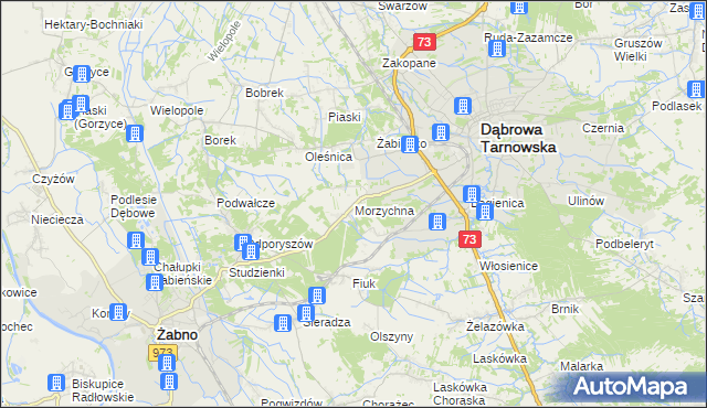 mapa Morzychna, Morzychna na mapie Targeo
