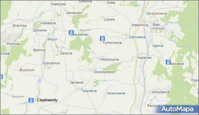 mapa Nieszkowice gmina Strzelin, Nieszkowice gmina Strzelin na mapie Targeo