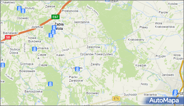 mapa Ojrzanów gmina Żabia Wola, Ojrzanów gmina Żabia Wola na mapie Targeo