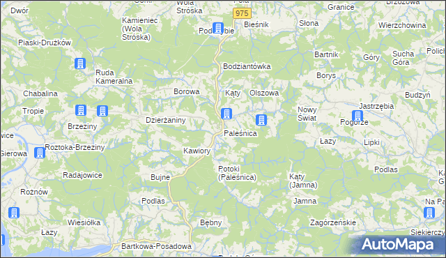 mapa Paleśnica, Paleśnica na mapie Targeo