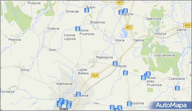 mapa Radostynia, Radostynia na mapie Targeo