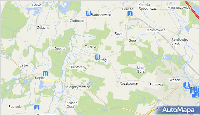 mapa Rogi gmina Niemodlin, Rogi gmina Niemodlin na mapie Targeo