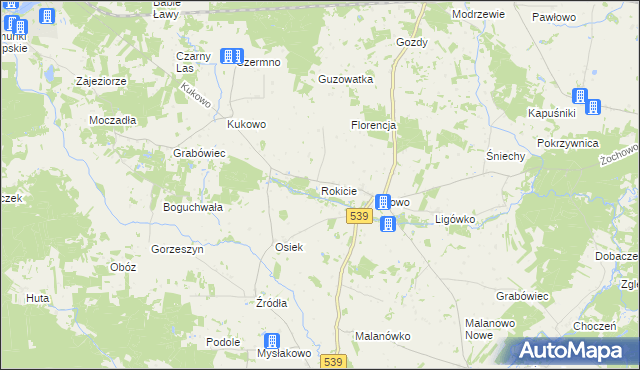 mapa Rokicie gmina Mochowo, Rokicie gmina Mochowo na mapie Targeo