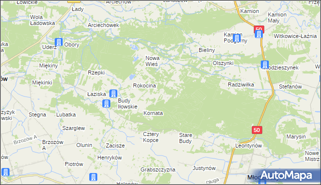 mapa Rokicina, Rokicina na mapie Targeo