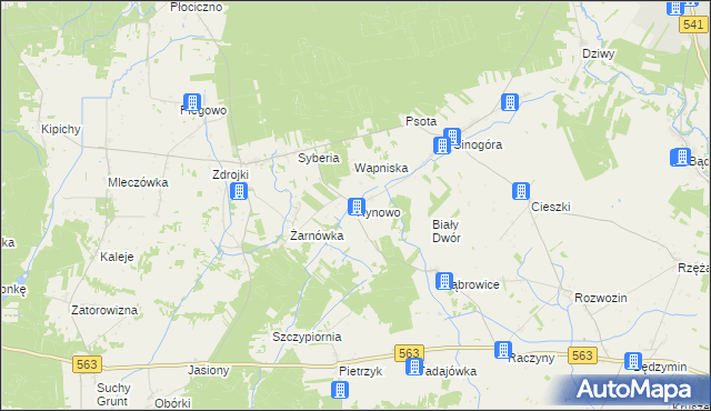 mapa Rynowo gmina Lubowidz, Rynowo gmina Lubowidz na mapie Targeo