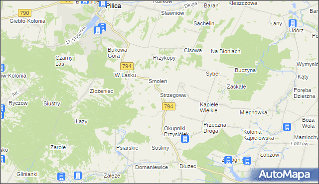 mapa Strzegowa gmina Wolbrom, Strzegowa gmina Wolbrom na mapie Targeo