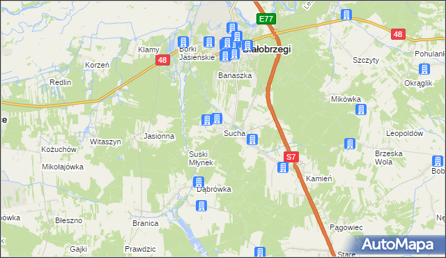 mapa Sucha gmina Białobrzegi, Sucha gmina Białobrzegi na mapie Targeo