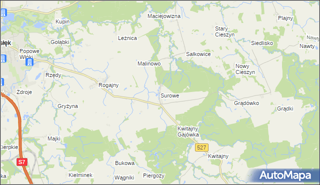 mapa Surowe gmina Pasłęk, Surowe gmina Pasłęk na mapie Targeo