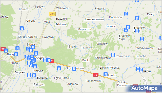 mapa Tarnowa gmina Poddębice, Tarnowa gmina Poddębice na mapie Targeo