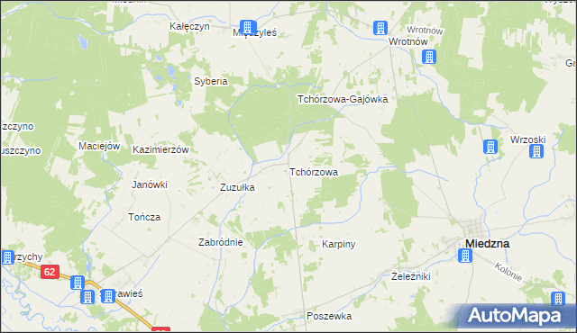 mapa Tchórzowa, Tchórzowa na mapie Targeo