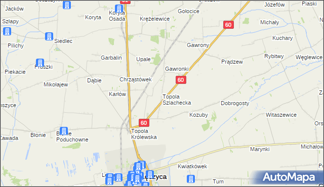 mapa Topola Szlachecka, Topola Szlachecka na mapie Targeo