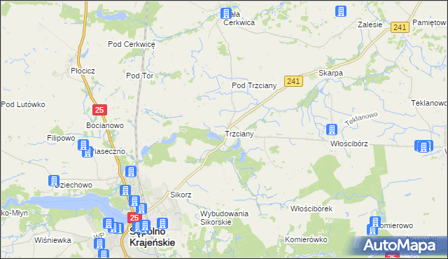 mapa Trzciany gmina Sępólno Krajeńskie, Trzciany gmina Sępólno Krajeńskie na mapie Targeo