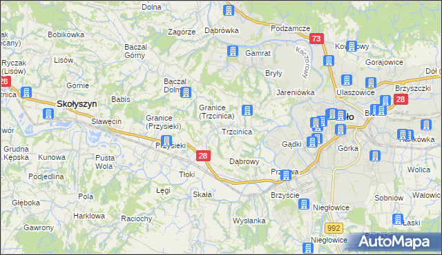 mapa Trzcinica gmina Jasło, Trzcinica gmina Jasło na mapie Targeo