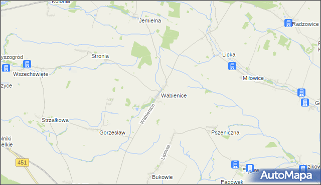 mapa Wabienice, Wabienice na mapie Targeo
