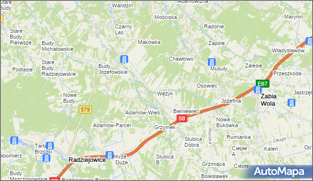 mapa Wężyk, Wężyk na mapie Targeo