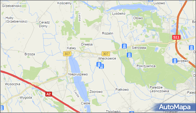 mapa Więckowice gmina Dopiewo, Więckowice gmina Dopiewo na mapie Targeo