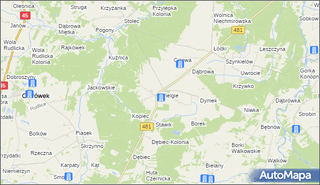 mapa Wielgie gmina Ostrówek, Wielgie gmina Ostrówek na mapie Targeo