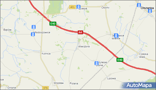 mapa Wierzbnik gmina Grodków, Wierzbnik gmina Grodków na mapie Targeo