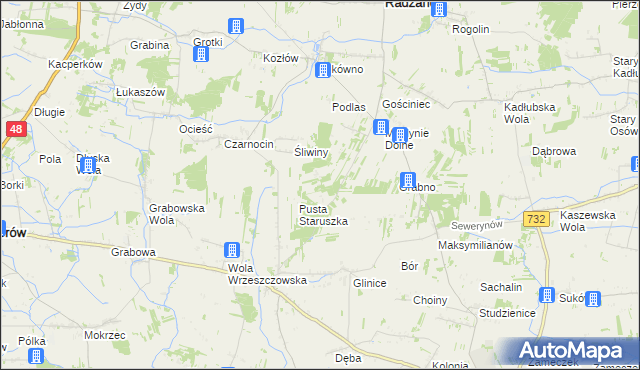 mapa Witoldów gmina Przytyk, Witoldów gmina Przytyk na mapie Targeo