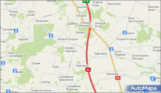 mapa Wodzinek gmina Tuszyn, Wodzinek gmina Tuszyn na mapie Targeo