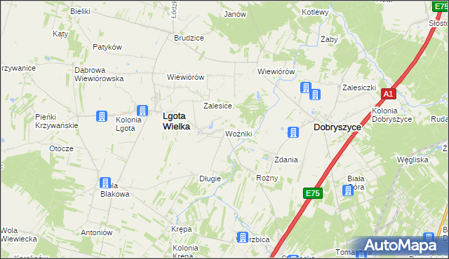 mapa Woźniki gmina Lgota Wielka, Woźniki gmina Lgota Wielka na mapie Targeo
