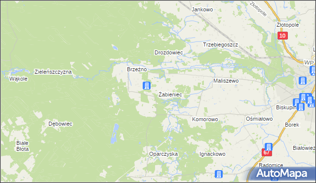 mapa Żabieniec gmina Lipno, Żabieniec gmina Lipno na mapie Targeo