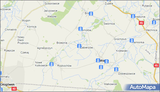 mapa Zabierzów gmina Walce, Zabierzów gmina Walce na mapie Targeo
