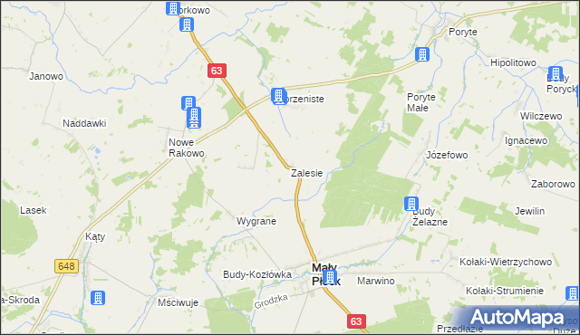 mapa Zalesie gmina Mały Płock, Zalesie gmina Mały Płock na mapie Targeo