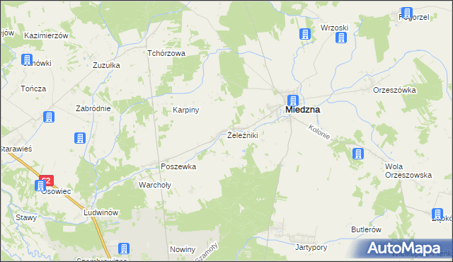 mapa Żeleźniki gmina Miedzna, Żeleźniki gmina Miedzna na mapie Targeo