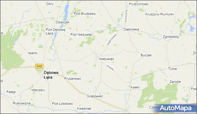 mapa Nieżywięć gmina Bobrowo, Nieżywięć gmina Bobrowo na mapie Targeo