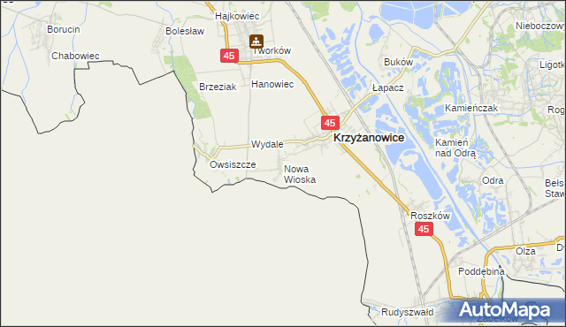 mapa Nowa Wioska gmina Krzyżanowice, Nowa Wioska gmina Krzyżanowice na mapie Targeo