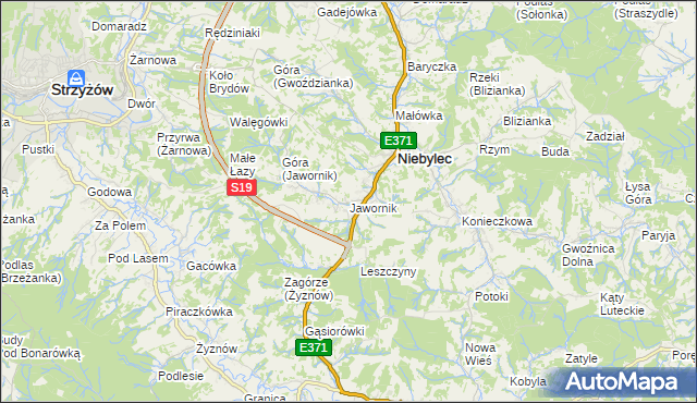 mapa Jawornik gmina Niebylec, Jawornik gmina Niebylec na mapie Targeo