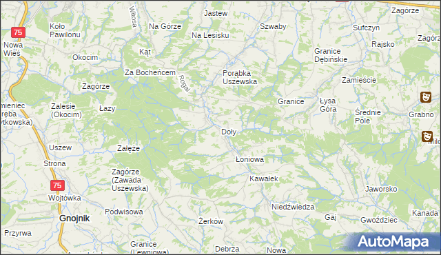 mapa Doły gmina Dębno, Doły gmina Dębno na mapie Targeo