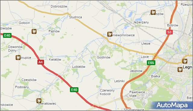 mapa Goślinów, Goślinów na mapie Targeo