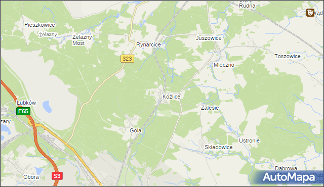 mapa Koźlice gmina Rudna, Koźlice gmina Rudna na mapie Targeo