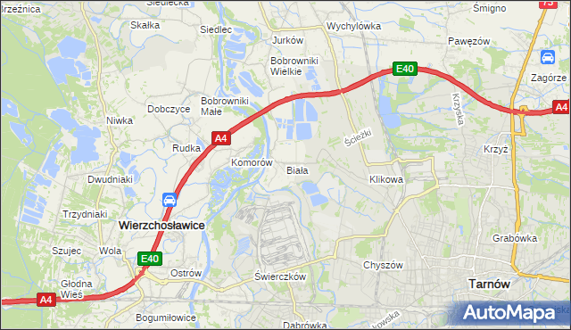 mapa Biała gmina Tarnów, Biała gmina Tarnów na mapie Targeo