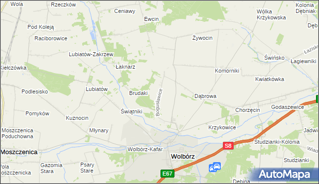 mapa Bogusławice gmina Wolbórz, Bogusławice gmina Wolbórz na mapie Targeo