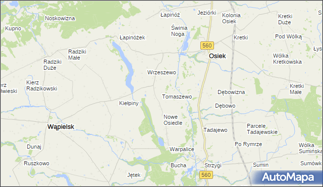 mapa Tomaszewo gmina Osiek, Tomaszewo gmina Osiek na mapie Targeo