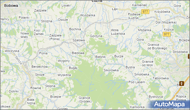 mapa Bieśnik gmina Łużna, Bieśnik gmina Łużna na mapie Targeo