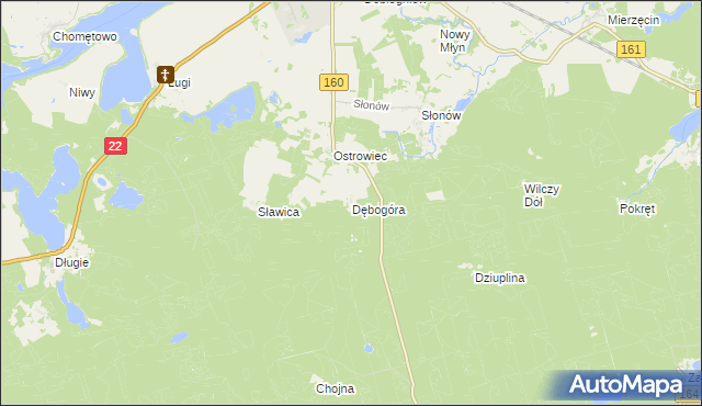 mapa Dębogóra gmina Dobiegniew, Dębogóra gmina Dobiegniew na mapie Targeo