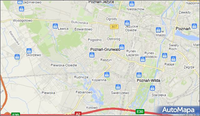 mapa Raszyn gmina Poznań, Raszyn gmina Poznań na mapie Targeo