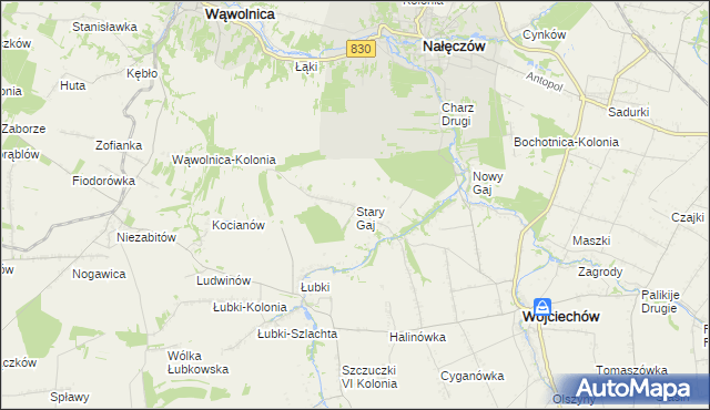 mapa Stary Gaj gmina Wojciechów, Stary Gaj gmina Wojciechów na mapie Targeo