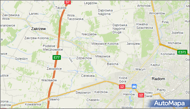 mapa Milejowice gmina Zakrzew, Milejowice gmina Zakrzew na mapie Targeo