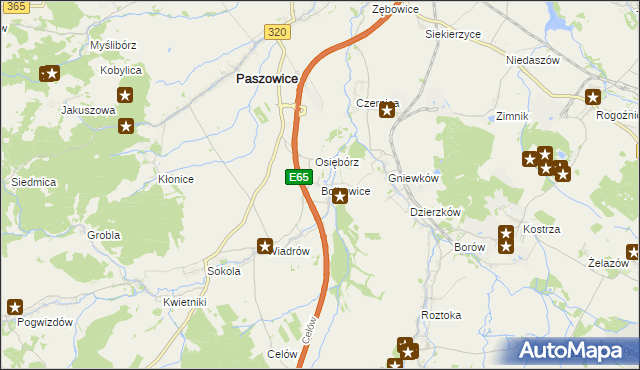 mapa Bolkowice gmina Paszowice, Bolkowice gmina Paszowice na mapie Targeo