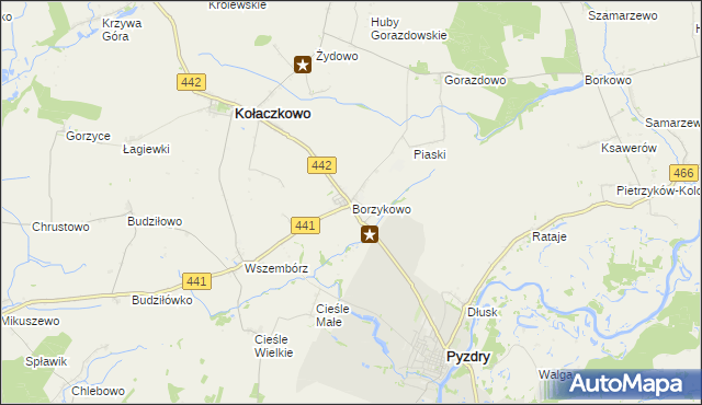 mapa Borzykowo gmina Kołaczkowo, Borzykowo gmina Kołaczkowo na mapie Targeo