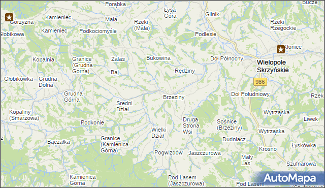 mapa Brzeziny gmina Wielopole Skrzyńskie, Brzeziny gmina Wielopole Skrzyńskie na mapie Targeo