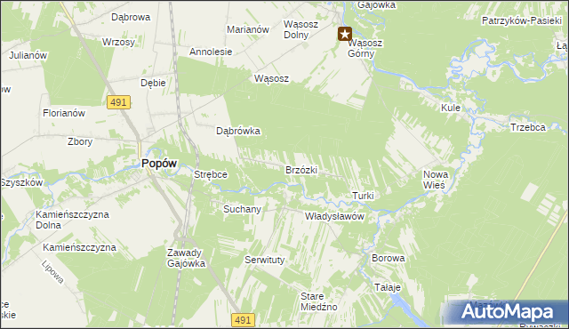 mapa Brzózki gmina Popów, Brzózki gmina Popów na mapie Targeo