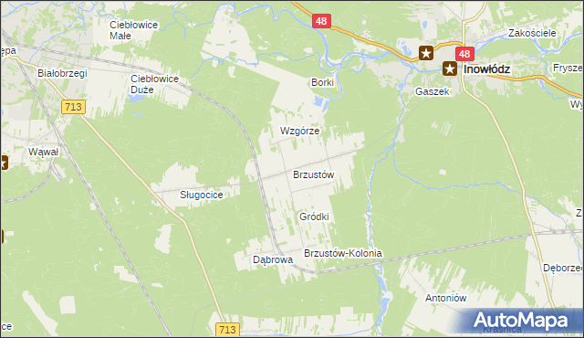 mapa Brzustów gmina Inowłódz, Brzustów gmina Inowłódz na mapie Targeo